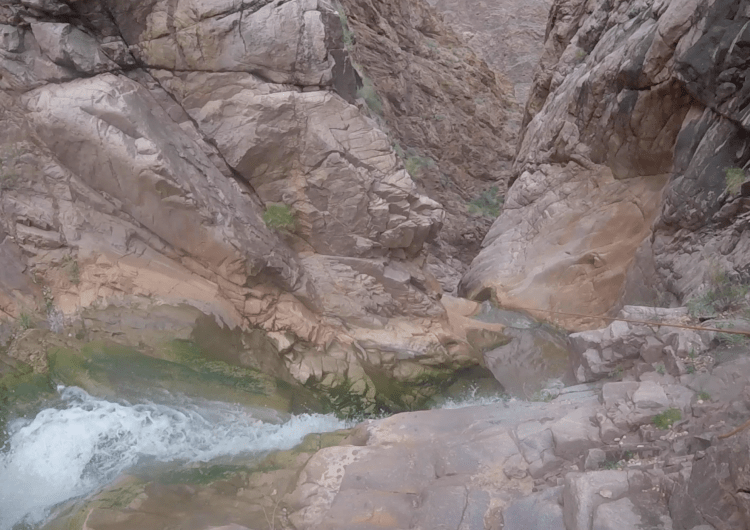 Screen Shot 2017-03-22 at 9.42.45 PM